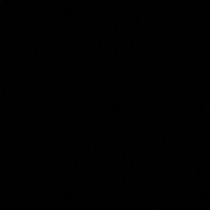 Meet your Posher, Ashlee